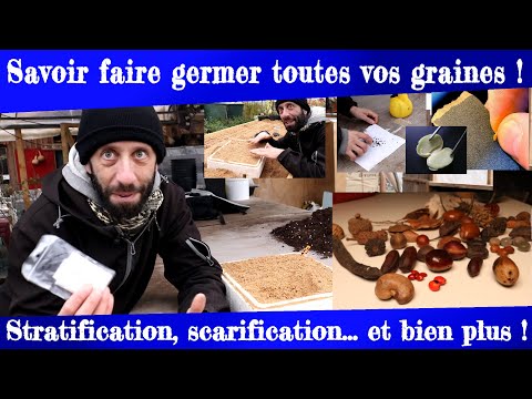 Savoir faire germer toutes vos graines ! Stratification, scarification, etc.
