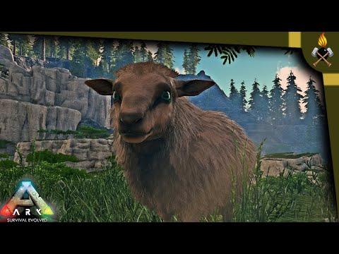 ARK How to tame:  Ovis