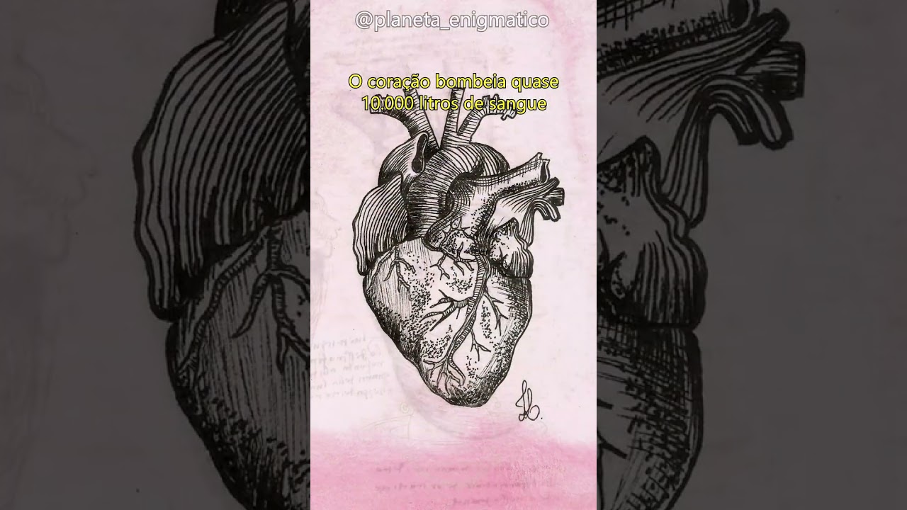 Quantos litros de sangue o coração bombeia por dia