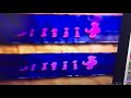 Barney S Big Surprise Theme Song Season 5