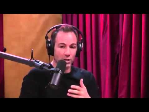 Joe Rogan, Brendan Schaub and Bryan Callen on Hard Work and Success