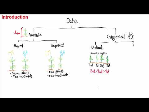IB Biology: 22 Statistical Tests for the Extended Essay and Internal Assessment