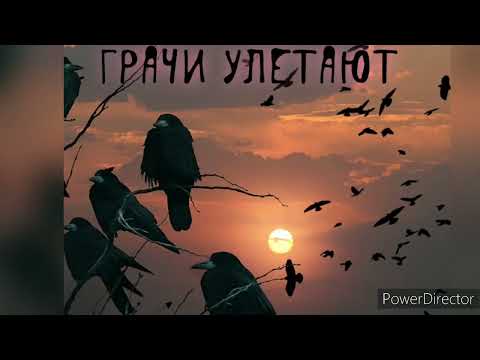id223115237’s Video 167691817707 vKVbAnSQpJU
