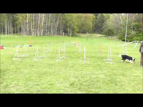 Fjant 140508 hoppteknik