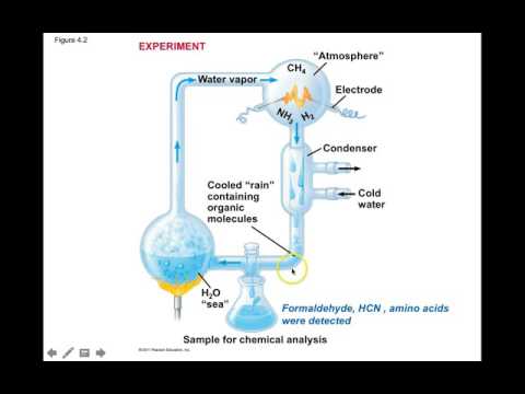 Chapter 4 part 1 Carbon and Life  by Prof Odapalli