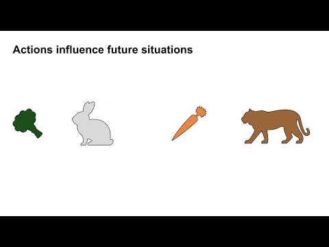 Markov Decision Processes 4