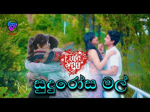 sudurosa mal (සුදුරෝස මල්)