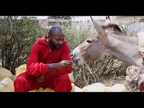 Umenikumbuka - Colonel Mustafa (Official Video)