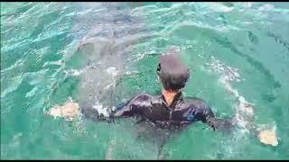 Video:  Field course students rescue endangered turtle