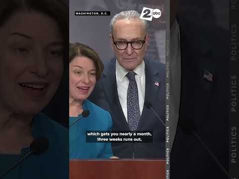 Senate Minority Leader Schumer, D-NY clashes with reporter during conference on shutdown, SNAP funds