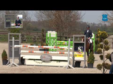 KWPN approved stallion Legend VDP (Grand Slam x Triomphe de Muze x Corland)