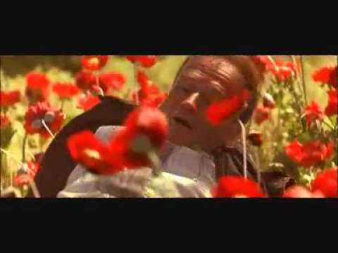 Wim Mertens - Struggle for Pleasure ( What Dreams May Come ).wmv