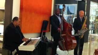 David Freeman Trio-Search for Peace (McCoy Tyner)