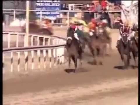 Srpski galopski derbi 2007 - PARAGRAF