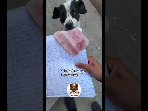 Ai folosit scuza asta? #berbeacu #viralvideo #funny #memes #shorts #comedy #fyp #trending