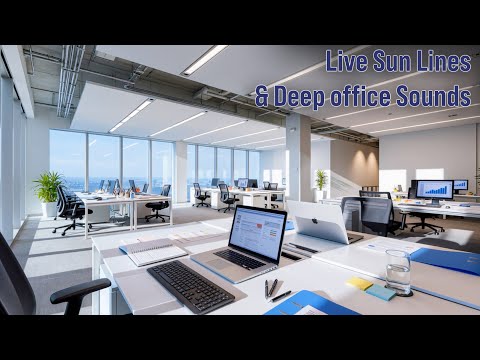 You are in the Productive Silence: Empty Workspace💻| Live Sun Lines & Deep office Sounds