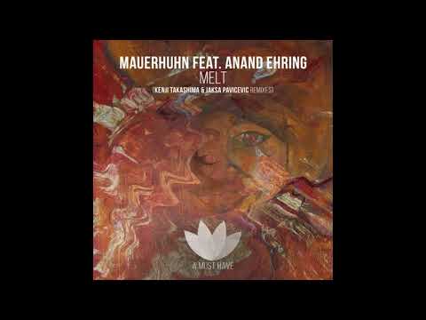Mauerhuhn-Melt feat. Anand Ehring | Mauerhuhn master (original mix )