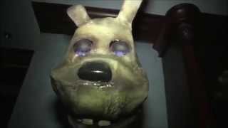 FIVE NIGHTS AT FREDDY'S ANIMATRONICS EN LA VIDA REAL