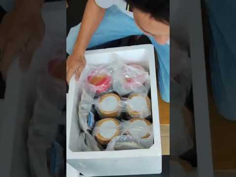 DHL Việt Nam - Dịch Vụ Chuyển Phát Nhanh DHL Express Uy Tín Tại An Tín Phát Express