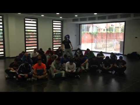 HARLEM SHAKE( CFGS AAFE SANT GABRIEL DE VILADECANS )