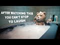 Which Is The Best Funniest Movie 2010 2020 Picture Productions