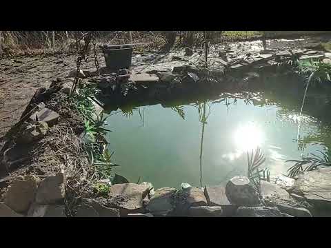 making a pond. inshALLAH.