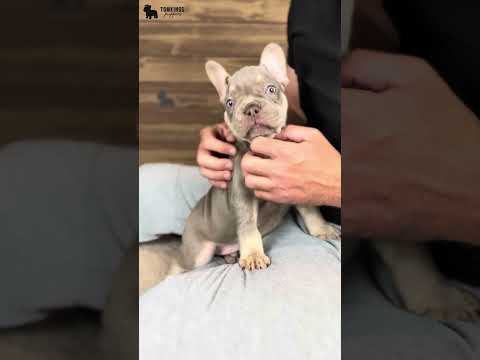 Video 4
