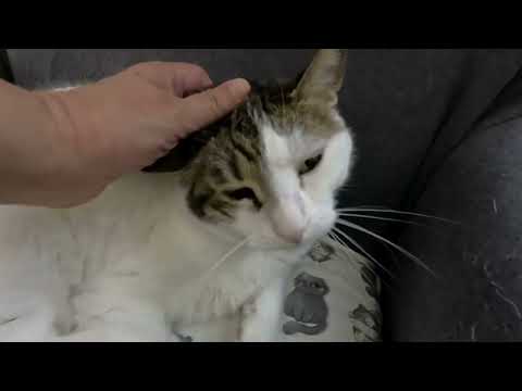 GÜNÜMÜZ MAKBULE'NİN İSYANI İLE BAŞLADI