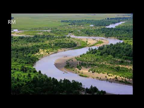 Сандуйтай мод - Д.Банзрагч - Монгол ардын дуу Sanduitai mod D.Banzragch