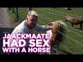 Jaackmaate Had Sex With A Horse