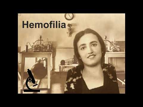 Vídeo: Vídeo sobre Jimena e Elisa Férnandez de la Vega. 