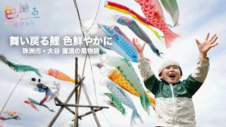 舞い戻る鯉 色鮮やかに 【色撮る⑩能登地震被災地から】