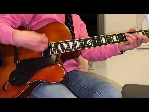 V planinskem baru / In der Almbar - KITARA - Höfner New President (Jodel Express)