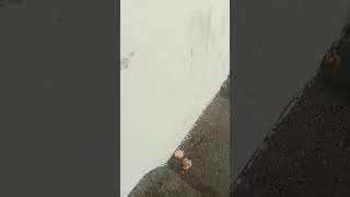 Download lagu I saw something so shocking and disturbing mp3