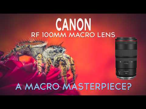 CANON RF 100mm f2.8 Macro Lens REVIEW
