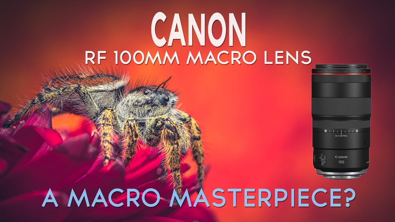 CANON RF 100mm f2.8 Macro Lens REVIEW