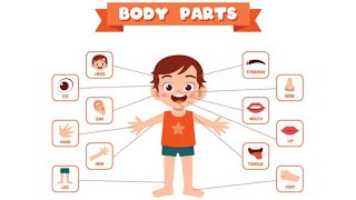 Learn Body parts, Body Parts, Body Parts For Kids, Parts of body with Spellings, Body Parts Name 👀