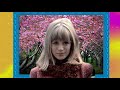 MARIANNE FAITHFULL   WRONG ROAD AGAIN
