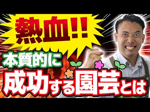 なぜ庭でランナーインゲンを栽培するのでしょうか？この食用および観賞用の植物についてすべてを知る  庭園