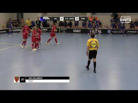 EräViikingit - Koovee 6.11.2019 maalikooste + rankkarit