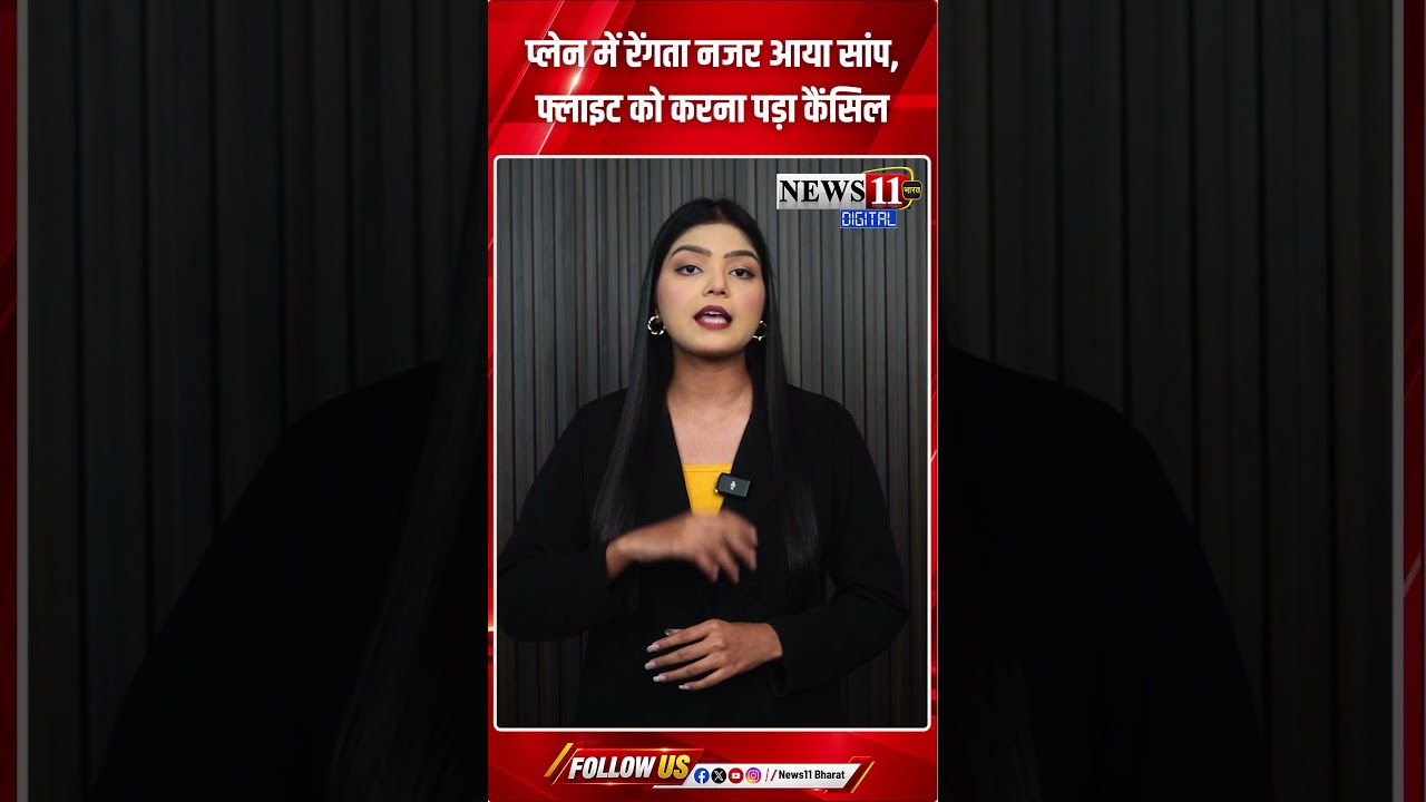 प्लेन में रेंगता नजर आया सांप, फ्लाइट को करना पड़ा कैंसिल