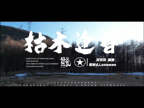 诺米么Lodmemo/沈学风.硕果《枯木逢春》