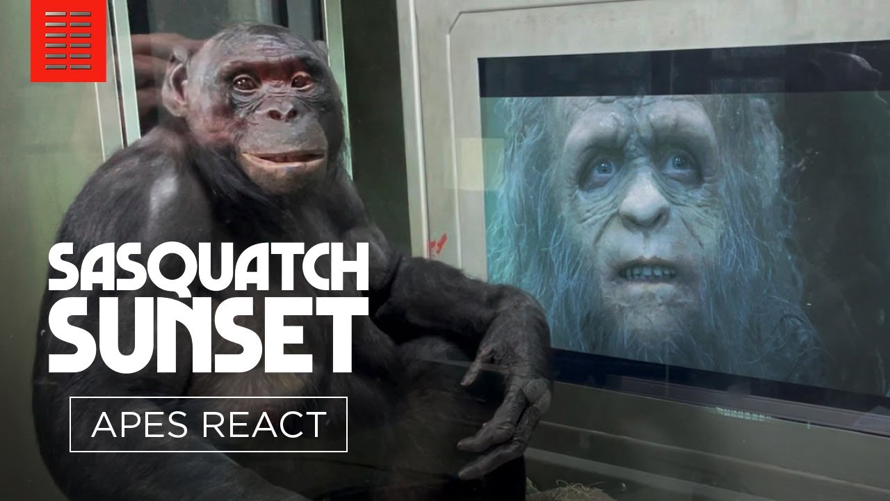 Apes Watch Sasquatch Sunset with Jesse Eisenberg and the Zellner Bros