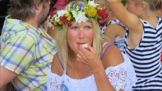 New York - Swedish Midsummer Celebration -2017 , Battery Park