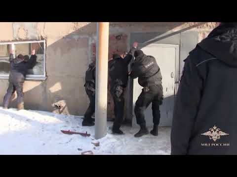 В МВД рассказали о нелегальной майнинговой ферме в Оренбурге