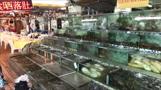 preview picture of video 'Hong Kong Street Food. The Live Seafood Restaurants of Sai Kung'