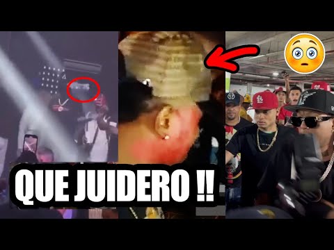 😱 WHAT A MESS! ROCHY RD GIVES A COOKIE TO A FAN WHO THROWN A BOTTLE