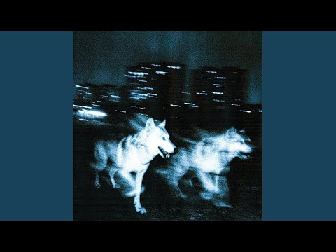 Djadja & Dinaz - Les bases (Audio Exclu)