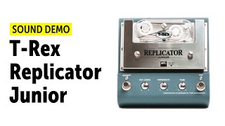 Video thumbnail for T-Rex Replicator Junior Tape Echo Sound Demo (no talking) by Guitar Bonedo