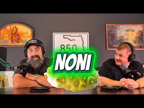 Ich probiere Noni! (Die 🤮 Frucht)
